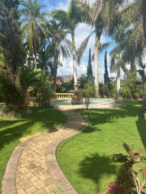 Hidden oasis